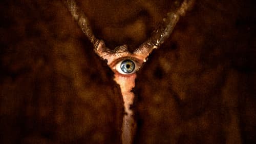 Image is not available