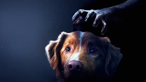 Image is not available